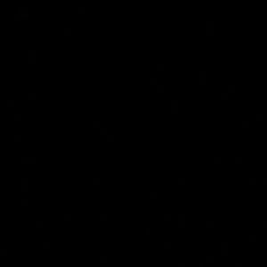 Meet your Posher, Ava